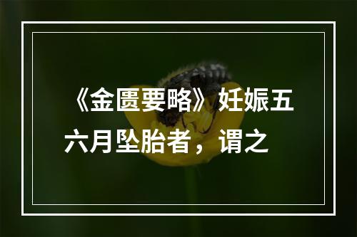 《金匮要略》妊娠五六月坠胎者，谓之