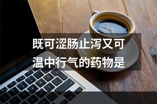 既可涩肠止泻又可温中行气的药物是