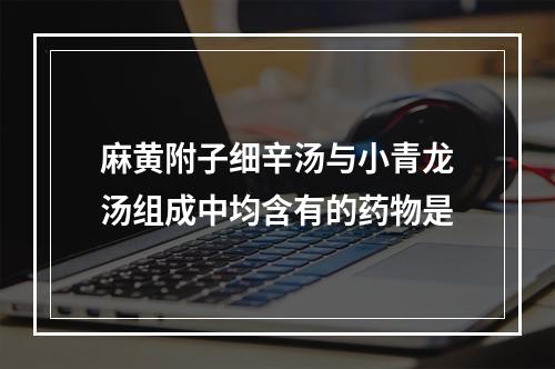 麻黄附子细辛汤与小青龙汤组成中均含有的药物是