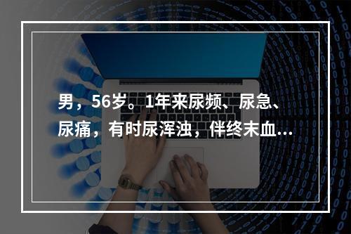 男，56岁。1年来尿频、尿急、尿痛，有时尿浑浊，伴终末血尿，