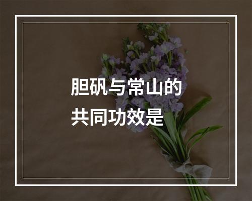 胆矾与常山的共同功效是