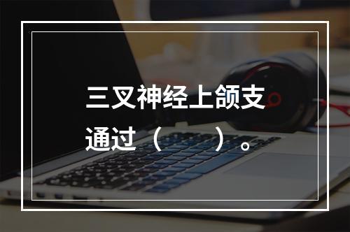 三叉神经上颌支通过（　　）。