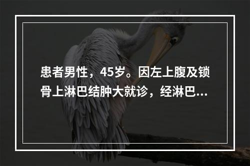 患者男性，45岁。因左上腹及锁骨上淋巴结肿大就诊，经淋巴结