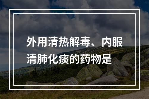 外用清热解毒、内服清肺化痰的药物是