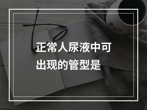 正常人尿液中可出现的管型是