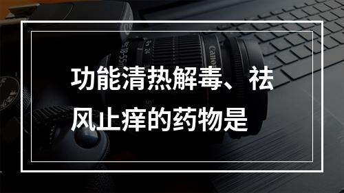 功能清热解毒、祛风止痒的药物是