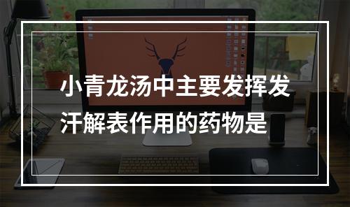 小青龙汤中主要发挥发汗解表作用的药物是