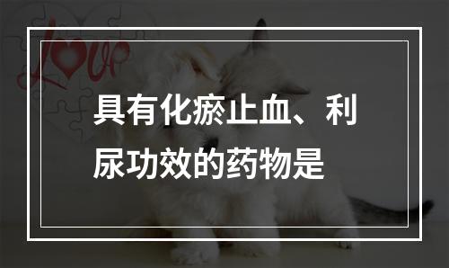 具有化瘀止血、利尿功效的药物是