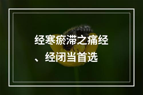 经寒瘀滞之痛经、经闭当首选