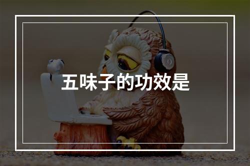 五味子的功效是