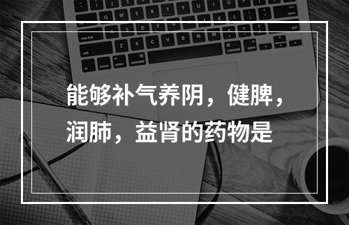 能够补气养阴，健脾，润肺，益肾的药物是