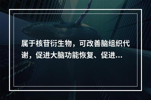 属于核苷衍生物，可改善脑组织代谢，促进大脑功能恢复、促进苏醒