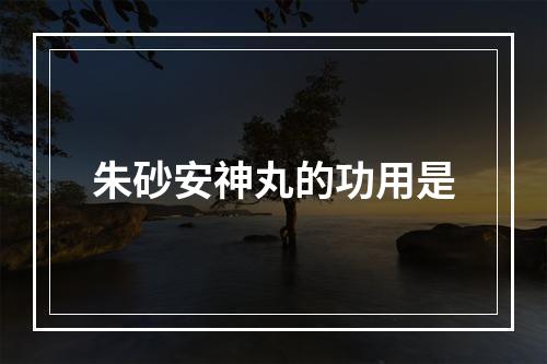 朱砂安神丸的功用是