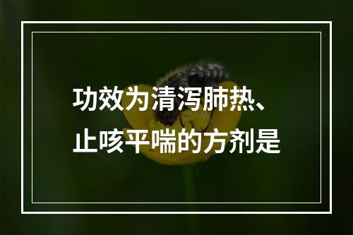 功效为清泻肺热、止咳平喘的方剂是