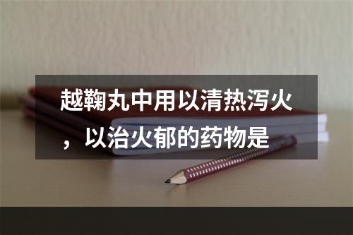 越鞠丸中用以清热泻火，以治火郁的药物是