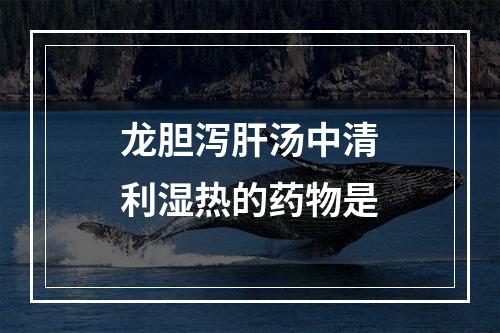 龙胆泻肝汤中清利湿热的药物是