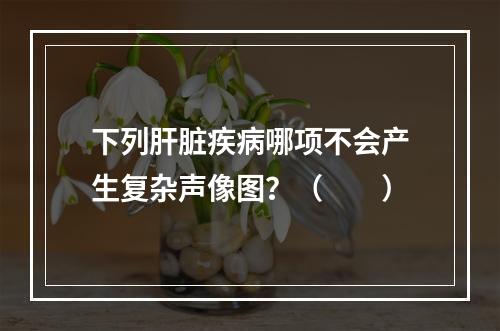 下列肝脏疾病哪项不会产生复杂声像图？（　　）