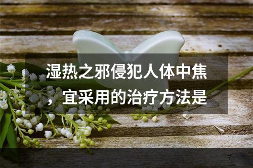 湿热之邪侵犯人体中焦，宜采用的治疗方法是