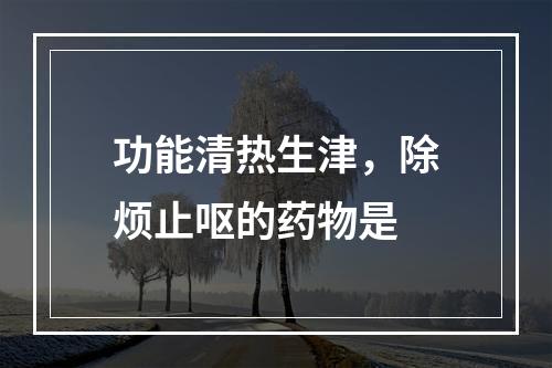 功能清热生津，除烦止呕的药物是