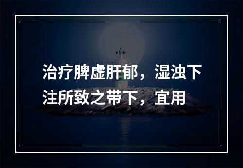 治疗脾虚肝郁，湿浊下注所致之带下，宜用