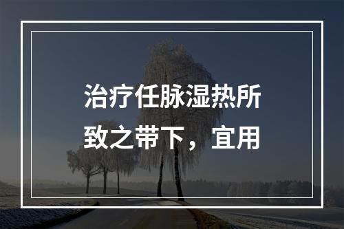 治疗任脉湿热所致之带下，宜用