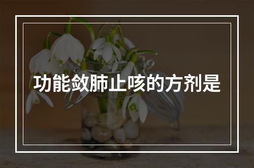 功能敛肺止咳的方剂是