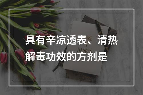 具有辛凉透表、清热解毒功效的方剂是