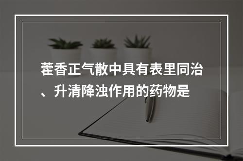 藿香正气散中具有表里同治、升清降浊作用的药物是