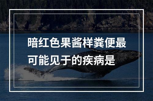 暗红色果酱样粪便最可能见于的疾病是