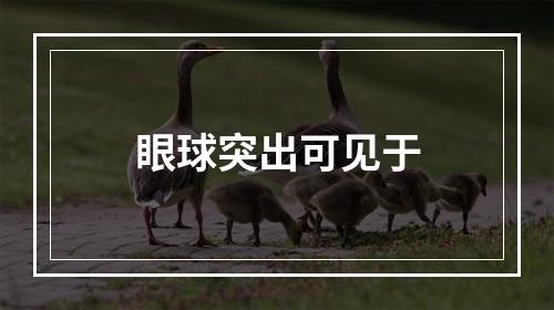 眼球突出可见于