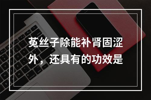 菟丝子除能补肾固涩外，还具有的功效是