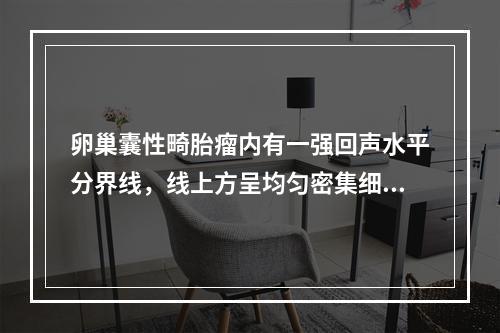 卵巢囊性畸胎瘤内有一强回声水平分界线，线上方呈均匀密集细小光