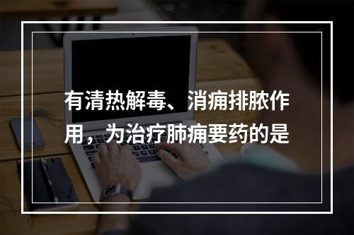 有清热解毒、消痈排脓作用，为治疗肺痈要药的是