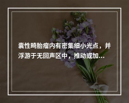 囊性畸胎瘤内有密集细小光点，并浮游于无回声区中，推动或加压时