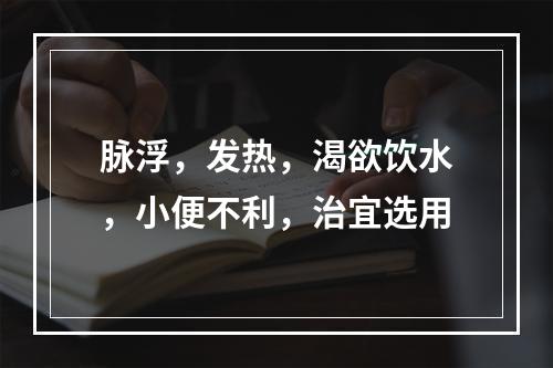 脉浮，发热，渴欲饮水，小便不利，治宜选用