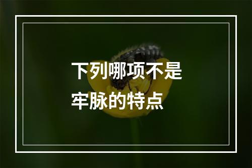 下列哪项不是牢脉的特点