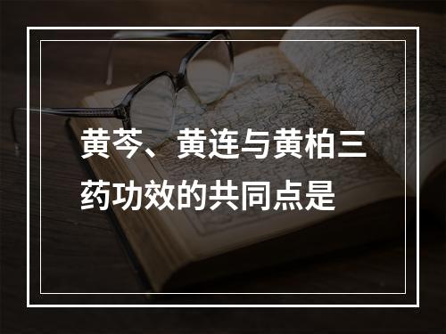 黄芩、黄连与黄柏三药功效的共同点是