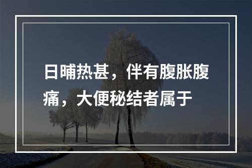 日晡热甚，伴有腹胀腹痛，大便秘结者属于