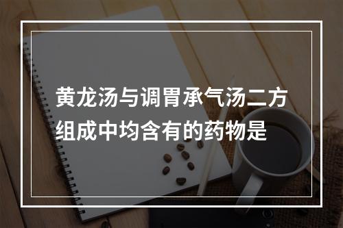 黄龙汤与调胃承气汤二方组成中均含有的药物是