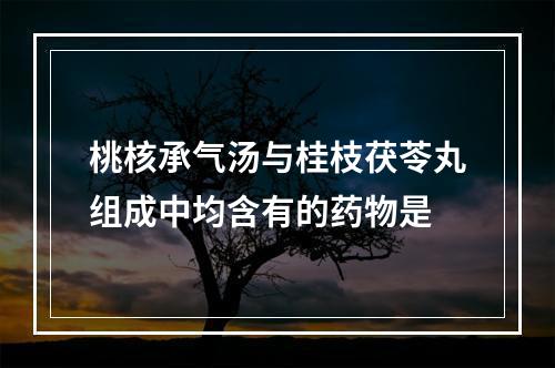 桃核承气汤与桂枝茯苓丸组成中均含有的药物是