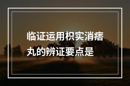 临证运用枳实消痞丸的辨证要点是