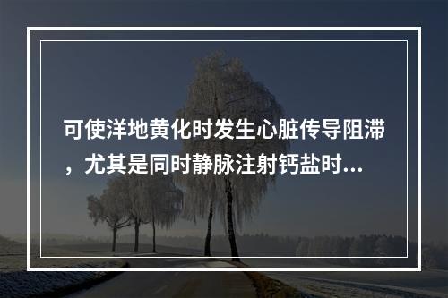 可使洋地黄化时发生心脏传导阻滞，尤其是同时静脉注射钙盐时，该