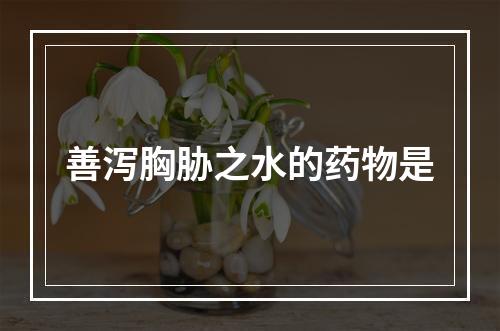 善泻胸胁之水的药物是