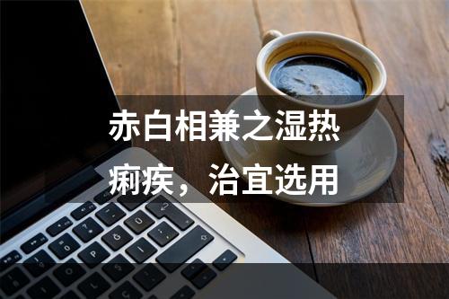 赤白相兼之湿热痢疾，治宜选用