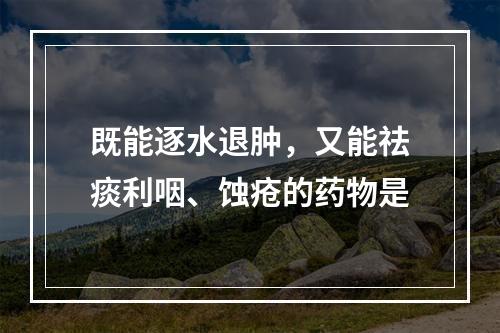 既能逐水退肿，又能祛痰利咽、蚀疮的药物是