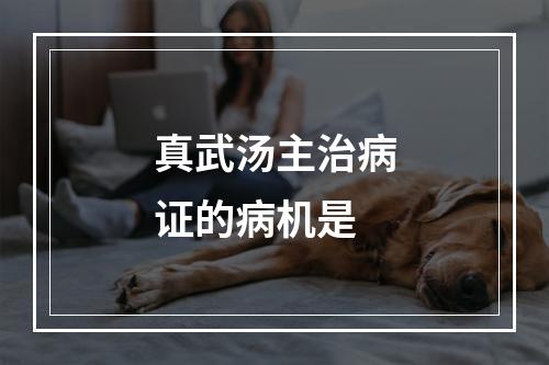 真武汤主治病证的病机是