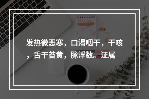 发热微恶寒，口渴咽干，干咳，舌干苔黄，脉浮数。证属