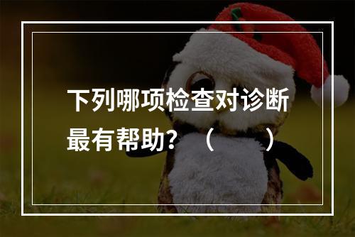 下列哪项检查对诊断最有帮助？（　　）