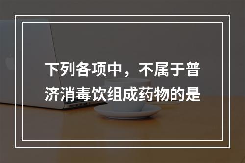 下列各项中，不属于普济消毒饮组成药物的是