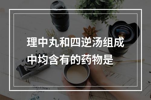 理中丸和四逆汤组成中均含有的药物是